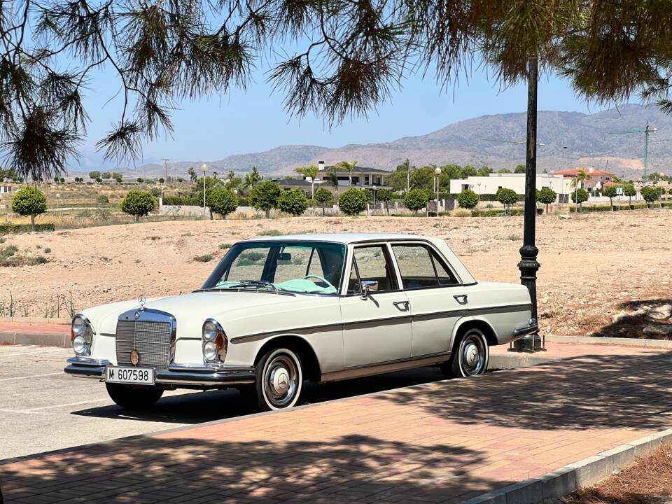 Afbeelding 46/50 van Mercedes-Benz 250 SE (1967)