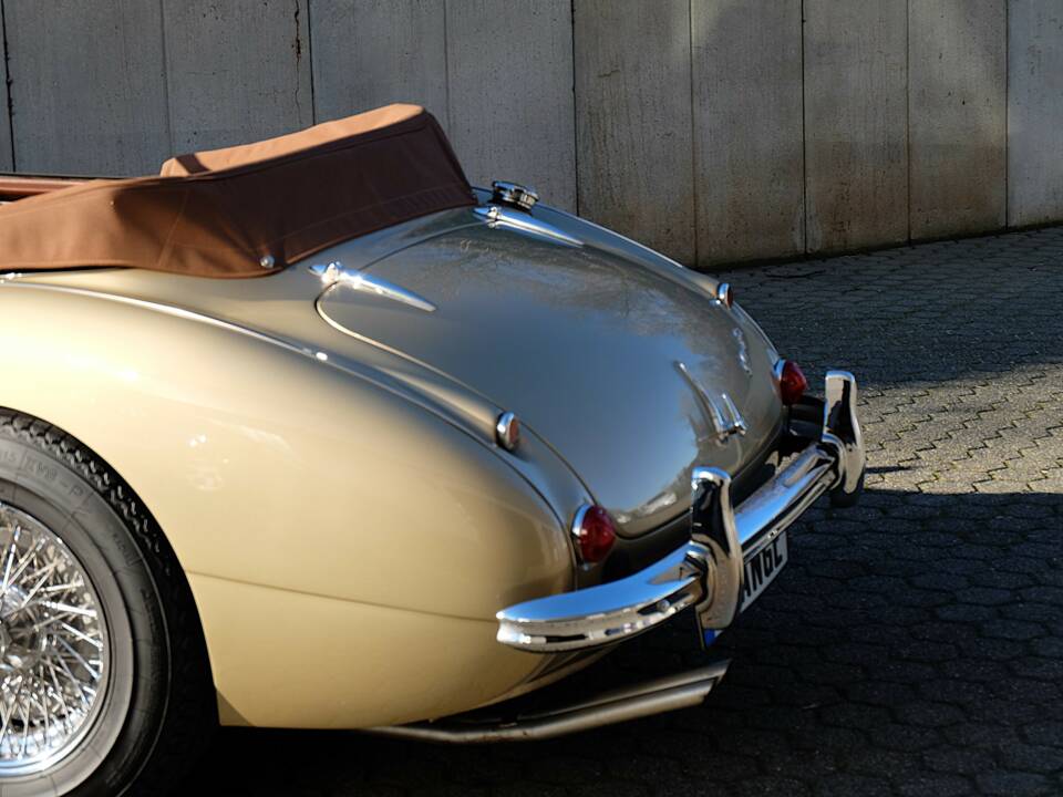 Image 19/68 of Austin-Healey 3000 Mk III (BJ8) (1965)