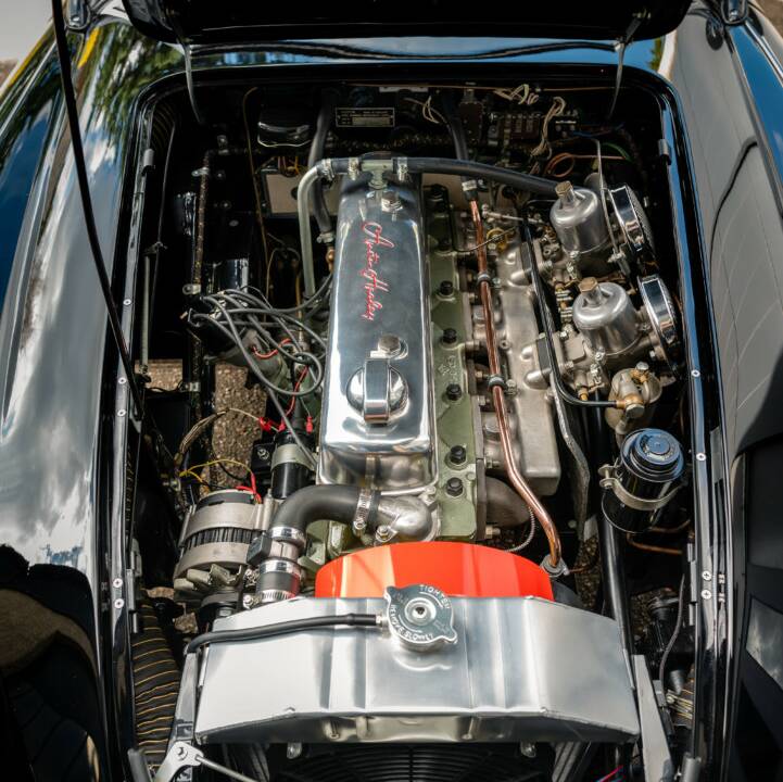 Afbeelding 22/23 van Austin-Healey 3000 Mk I (BN7) (1962)
