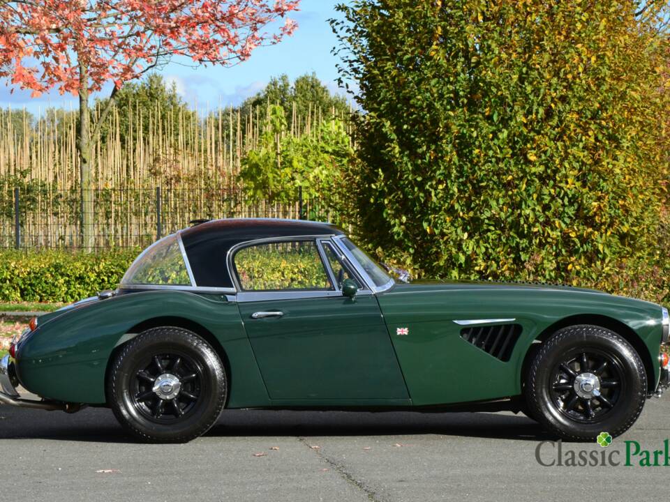Bild 6/50 von Austin-Healey 3000 Mk III (BJ8) (1967)
