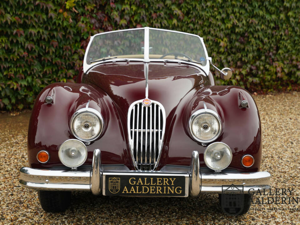 Bild 5/50 von Jaguar XK 140 SE-C OTS (1956)