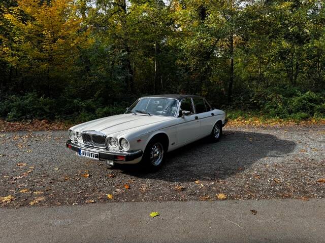 Bild 2/10 von Jaguar XJ 12 (1989)