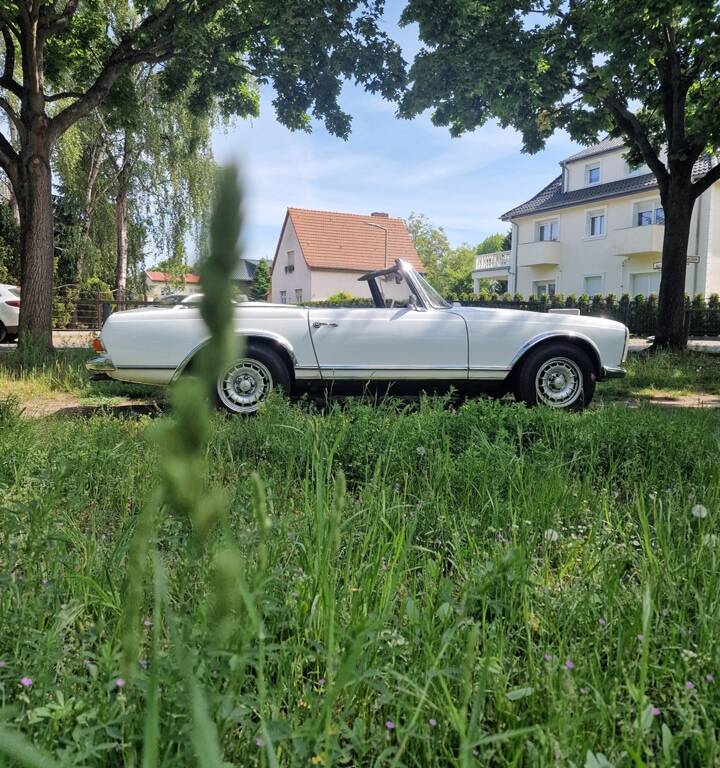 Image 6/100 de Mercedes-Benz 250 SL (1967)