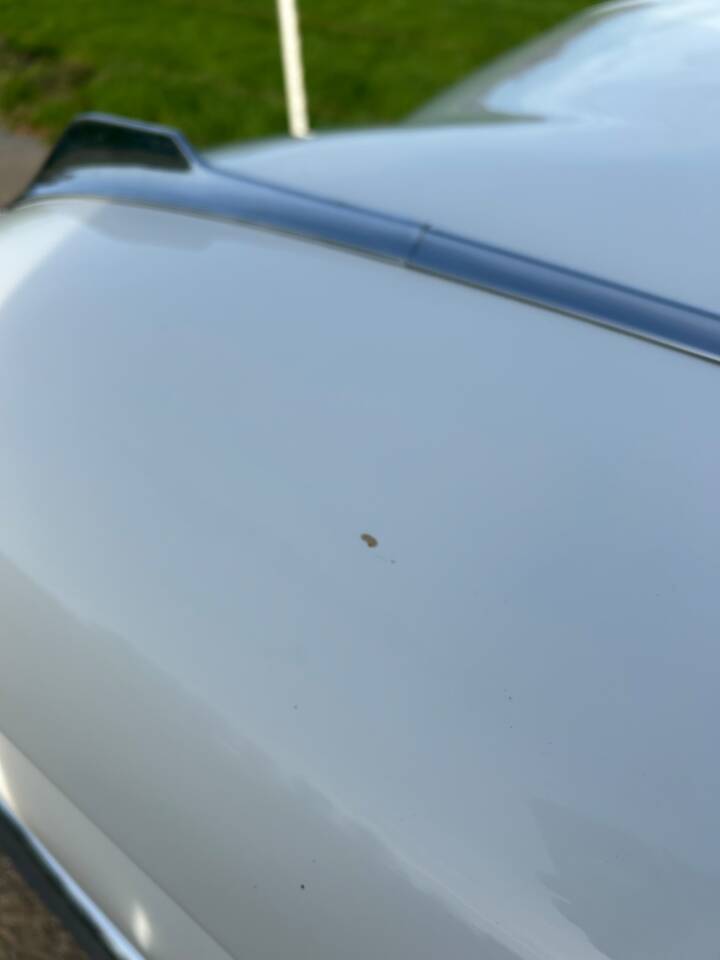 Image 36/56 of Cadillac Sedan DeVille (1959)