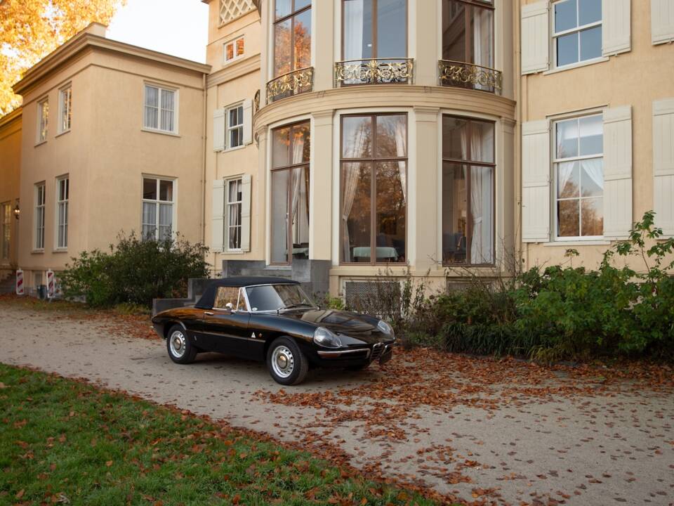 Image 3/51 of Alfa Romeo 1600 Spider Duetto (1966)