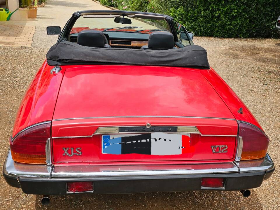 Bild 7/8 von Jaguar XJ-S Convertible (1989)