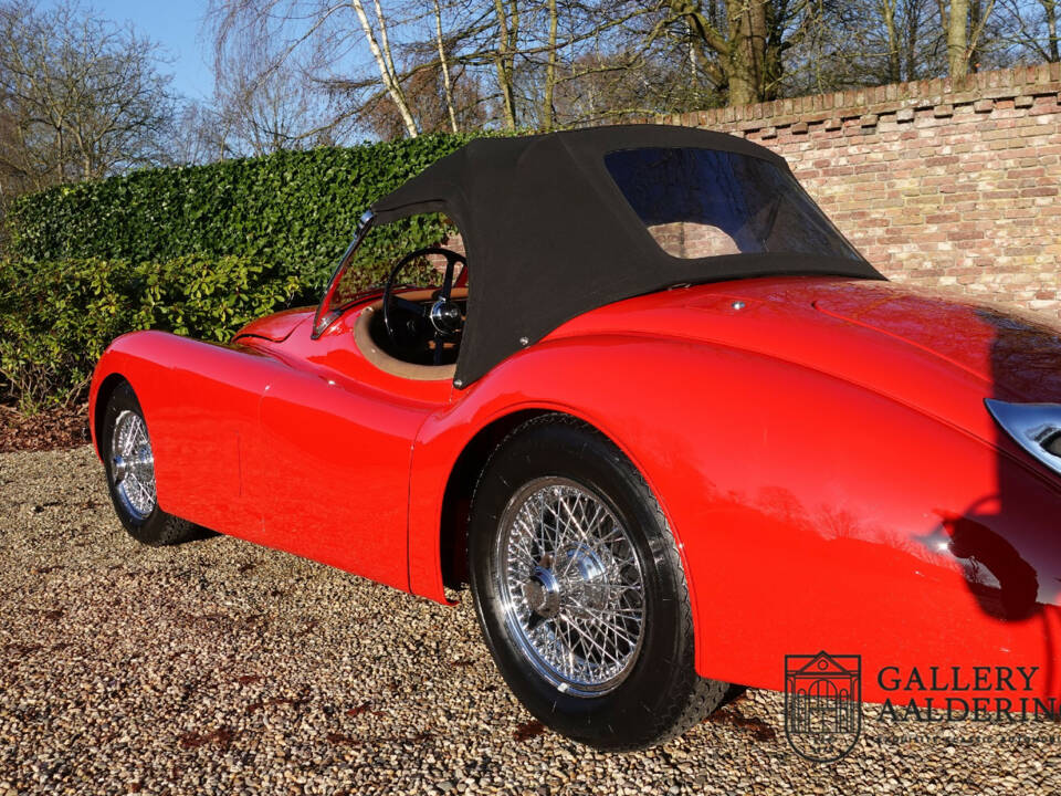 Image 11/50 of Jaguar XK 120 OTS (1954)