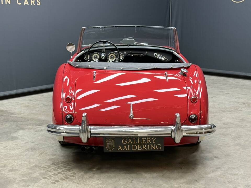 Bild 6/50 von Austin-Healey 3000 Mk I (BT7) (1961)
