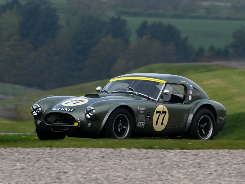 Imagen 7/15 de AC Shelby Cobra 289 (1965)