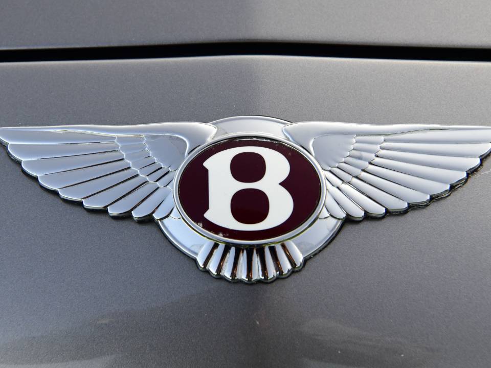 Image 12/49 of Bentley Arnage R (2005)