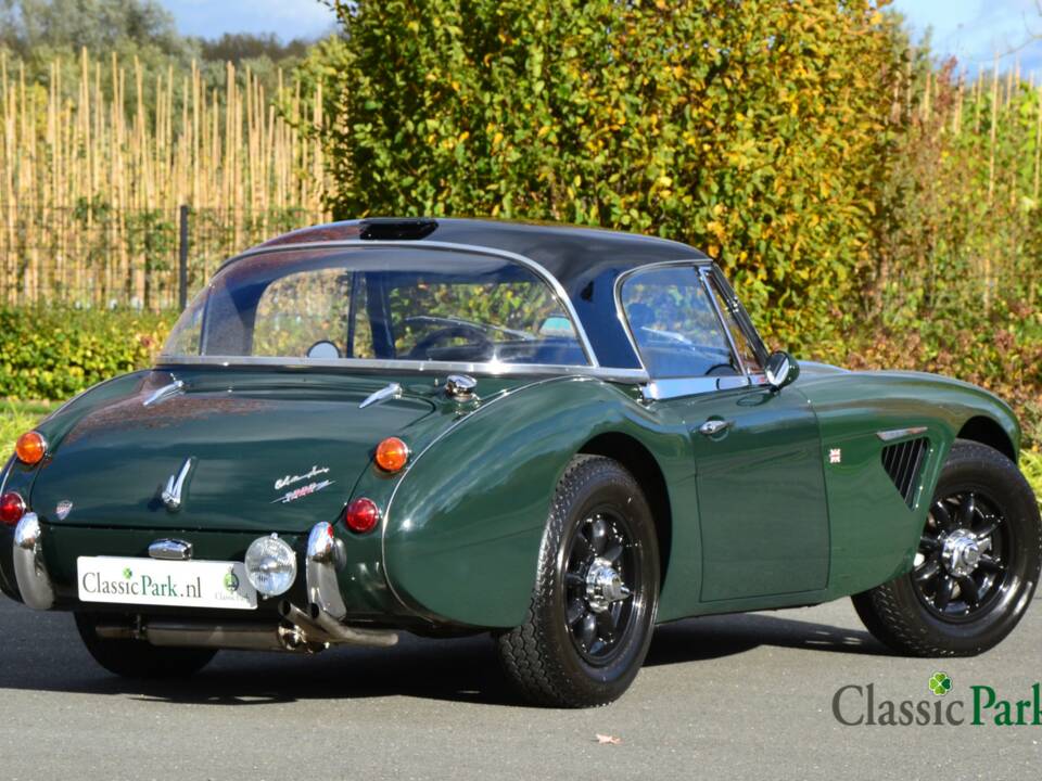 Bild 5/50 von Austin-Healey 3000 Mk III (BJ8) (1967)