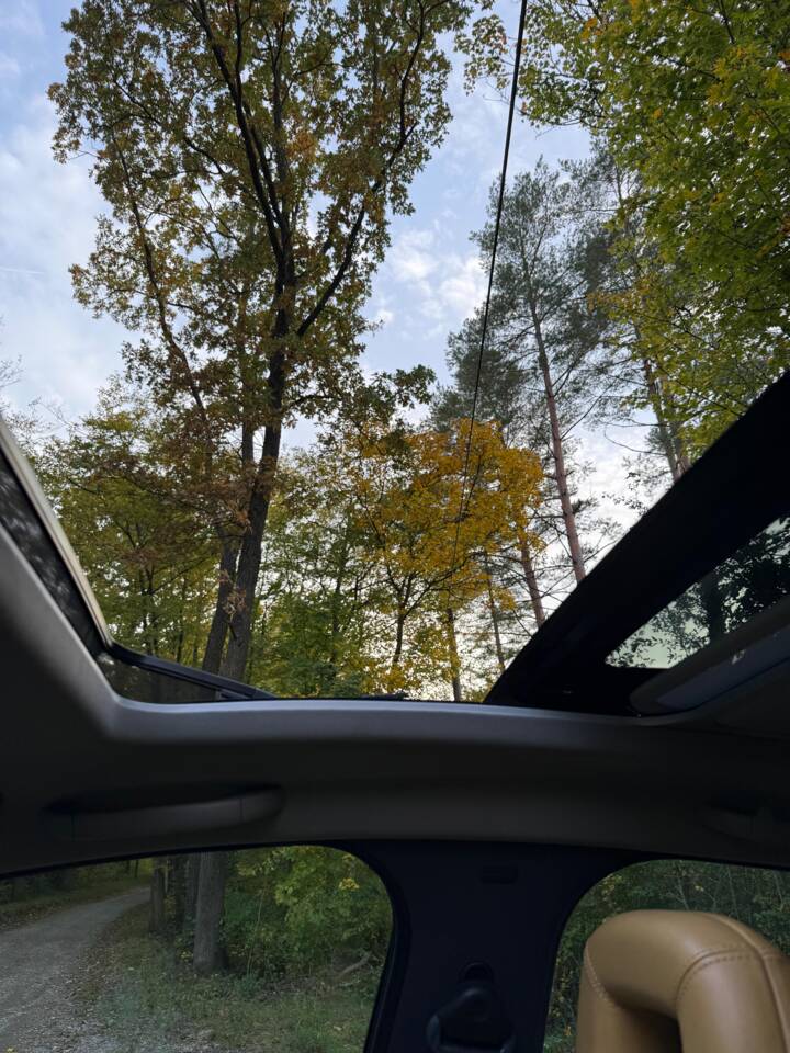 Imagen 47/59 de Audi A2 1.4 (2001)