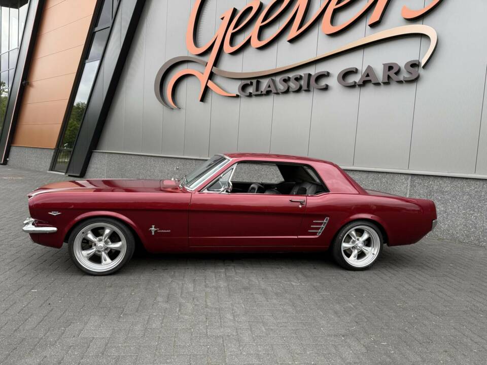 Bild 11/47 von Ford Shelby GT 350 (1966)