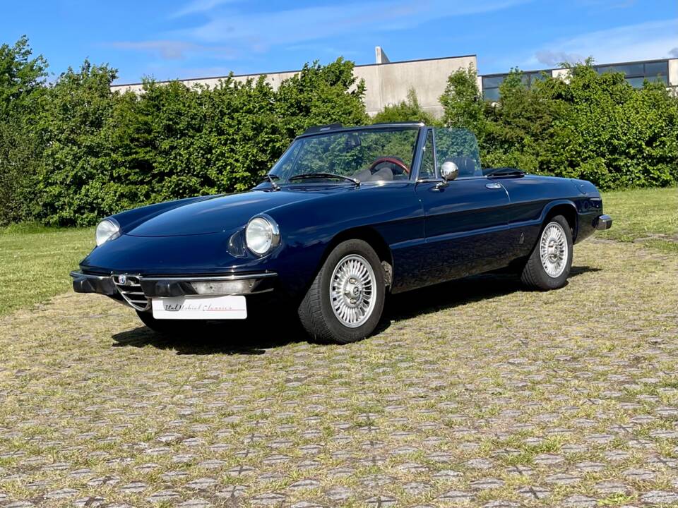 Bild 1/22 von Alfa Romeo 2000 Spider Veloce (1979)