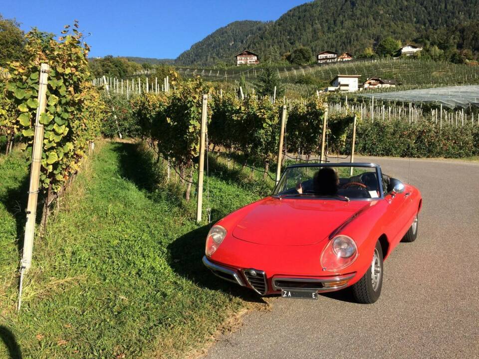 Afbeelding 2/12 van Alfa Romeo 1750 Spider Veloce (1969)