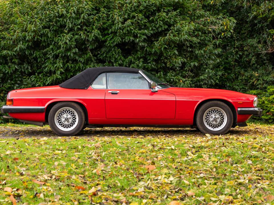 Image 2/50 of Jaguar XJS 5.3 V12 (1988)