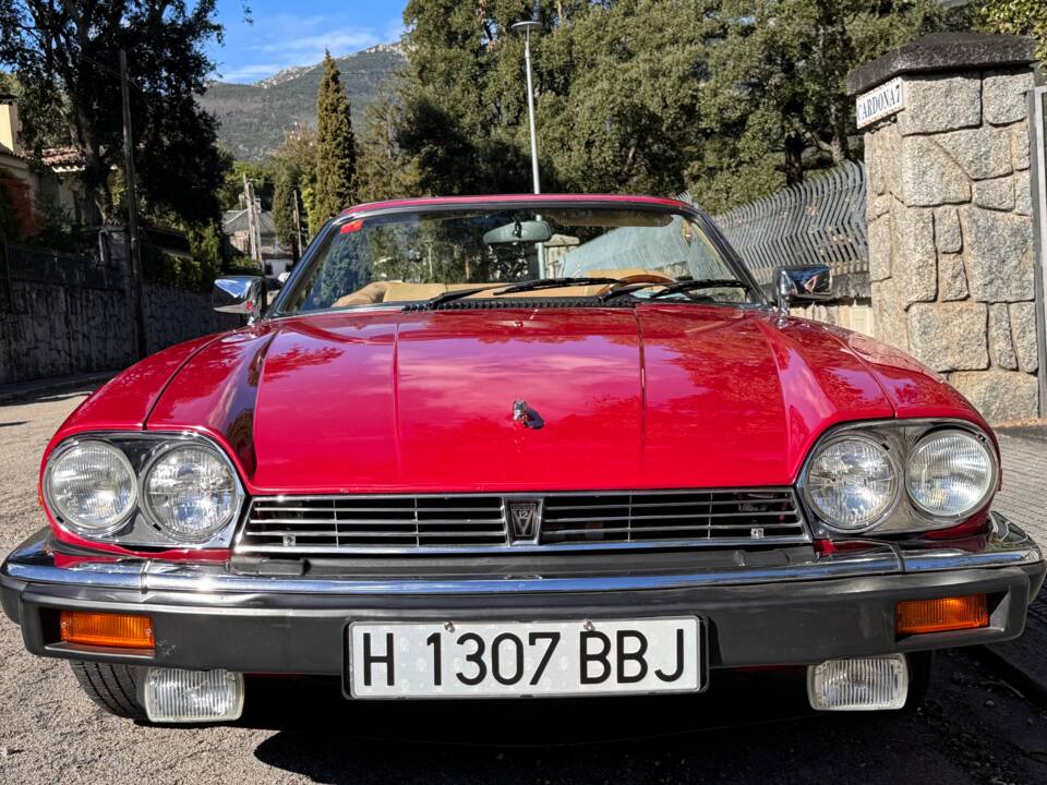 Bild 20/62 von Jaguar XJ-S Convertible (1988)