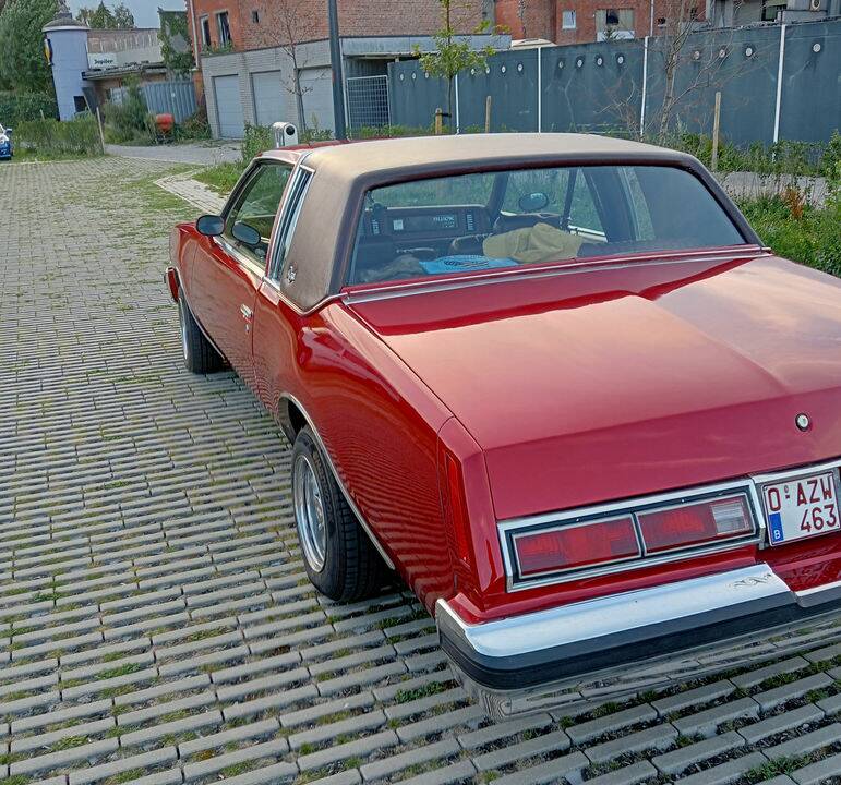 Immagine 6/8 di Buick Regal (1979)