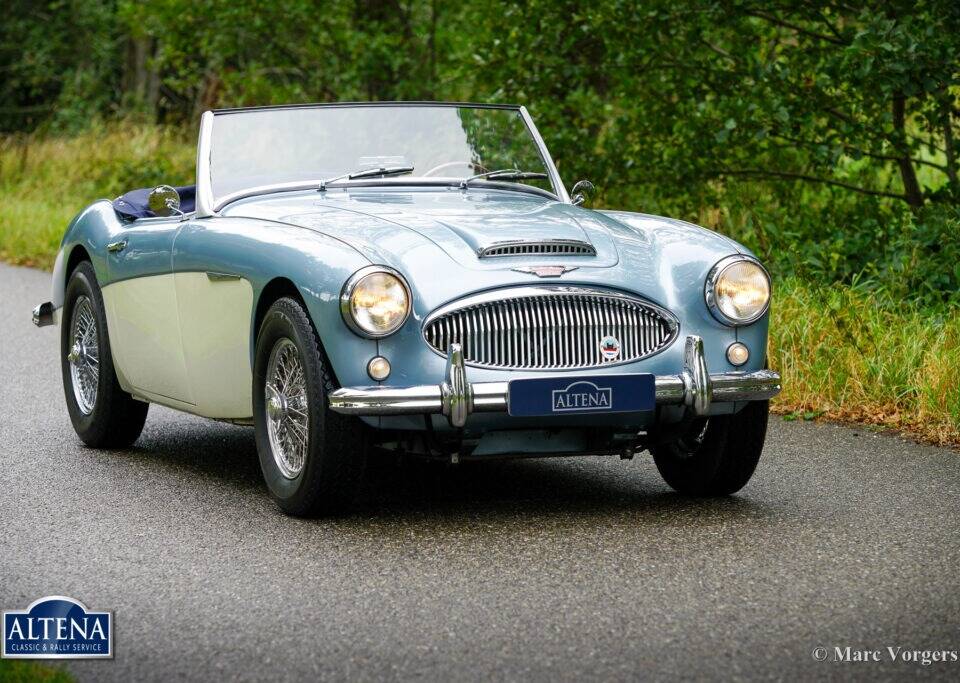 Immagine 5/44 di Austin-Healey 3000 Mk II (BN7) (1962)