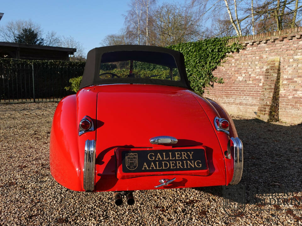 Image 50/50 de Jaguar XK 120 OTS (1954)