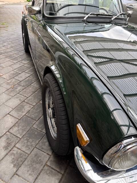 Image 8/13 of Triumph TR 6 PI (1974)