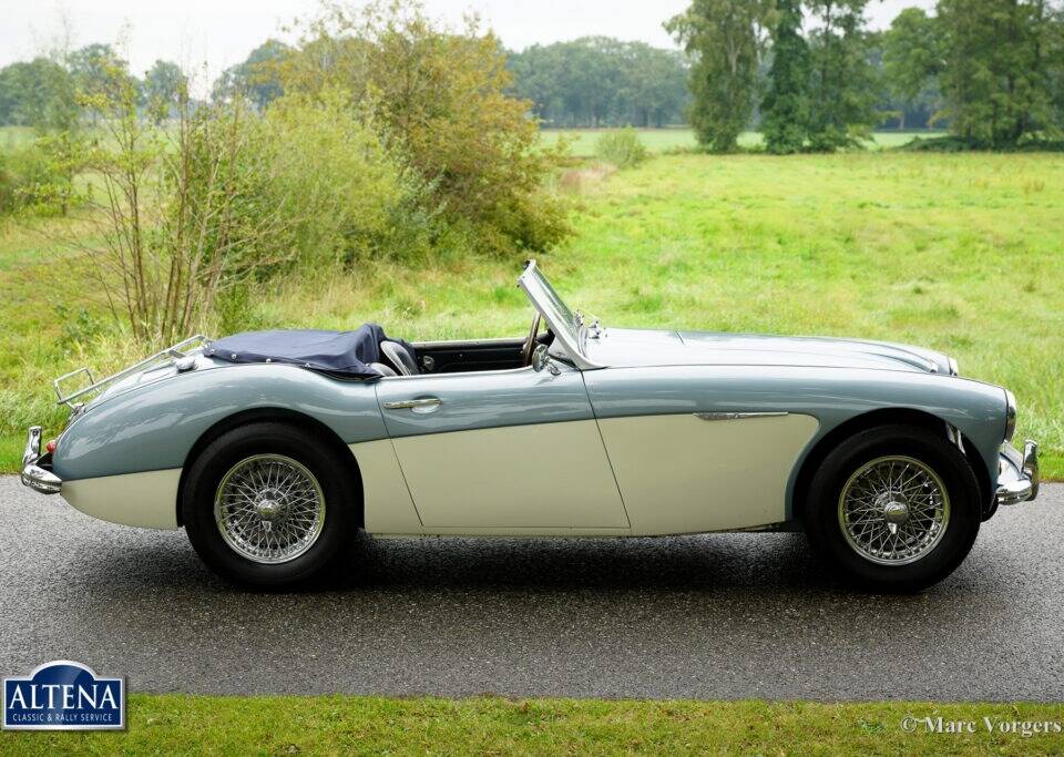 Immagine 11/44 di Austin-Healey 3000 Mk II (BN7) (1962)