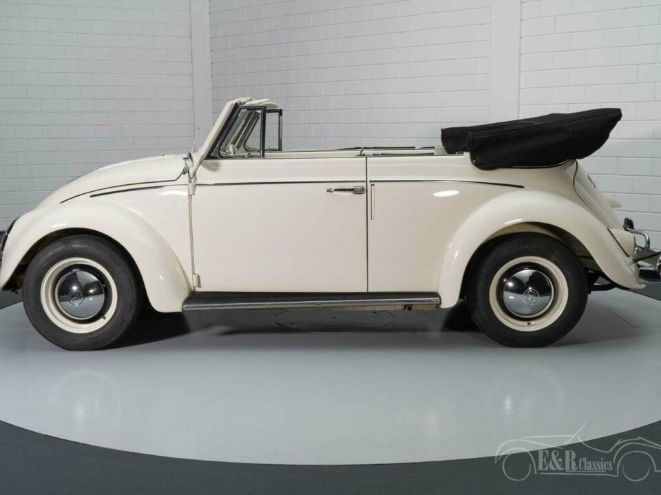 Immagine 4/19 di Volkswagen Maggiolino 1200 Convertibile (1960)