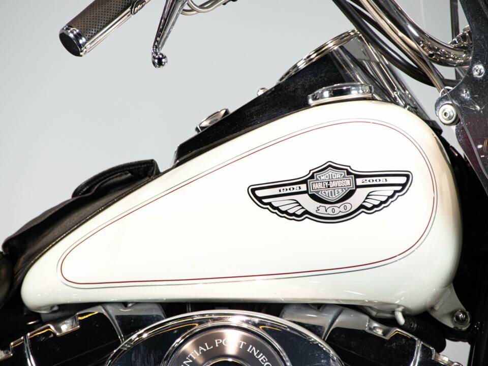 Bild 15/50 von Harley-Davidson DUMMY (2003)