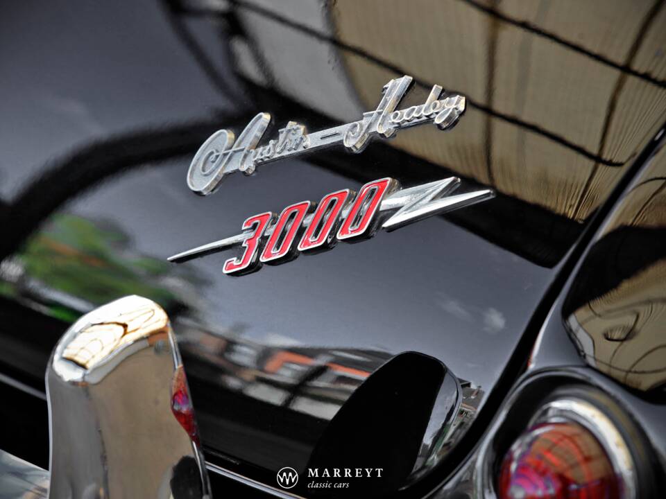 Immagine 54/68 di Austin-Healey 3000 Mk I (BT7) (1959)