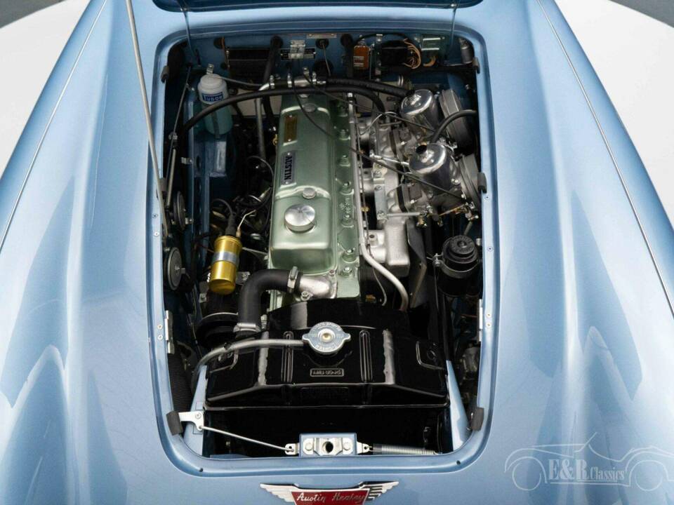 Imagen 3/19 de Austin-Healey 3000 Mk III (BJ8) (1965)