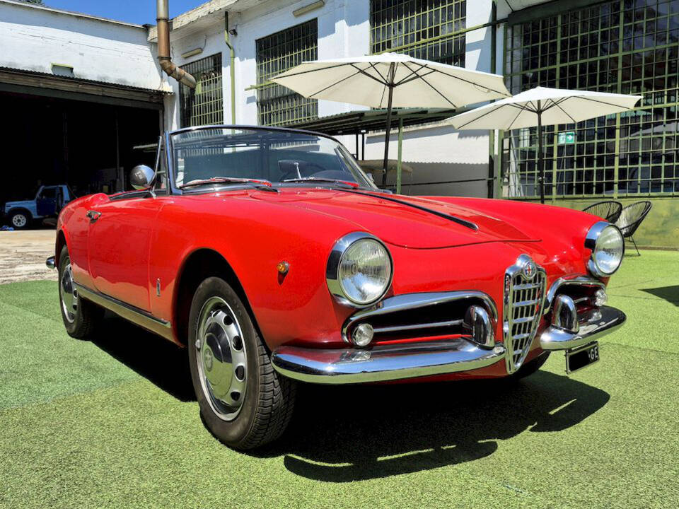 Image 8/71 of Alfa Romeo Giulietta Spider (1961)