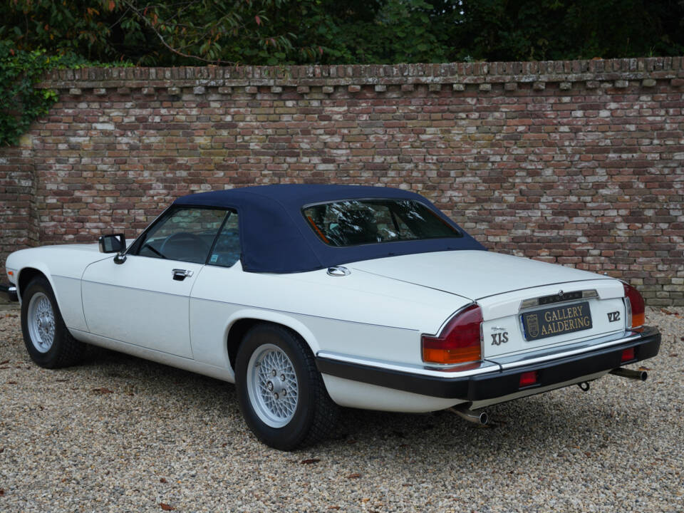 Immagine 16/50 di Jaguar XJS 5.3 V12 (1988)