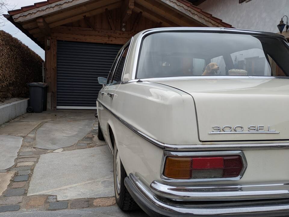 Immagine 5/24 di Mercedes-Benz 300 SEL 6.3 (1972)