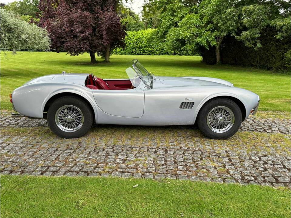 Bild 8/24 von AC Cobra 289 (2001)