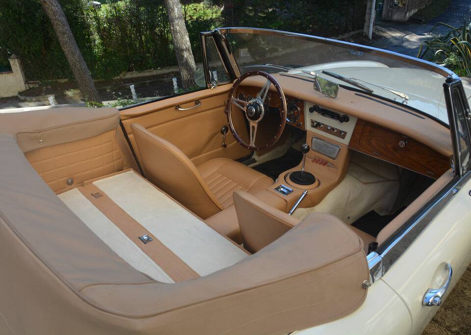 Immagine 2/8 di Austin-Healey 3000 Mk III (BJ8) (1967)