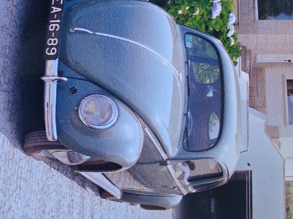 Bild 26/54 von Volkswagen Beetle 1100 Standard (Brezel) (1950)