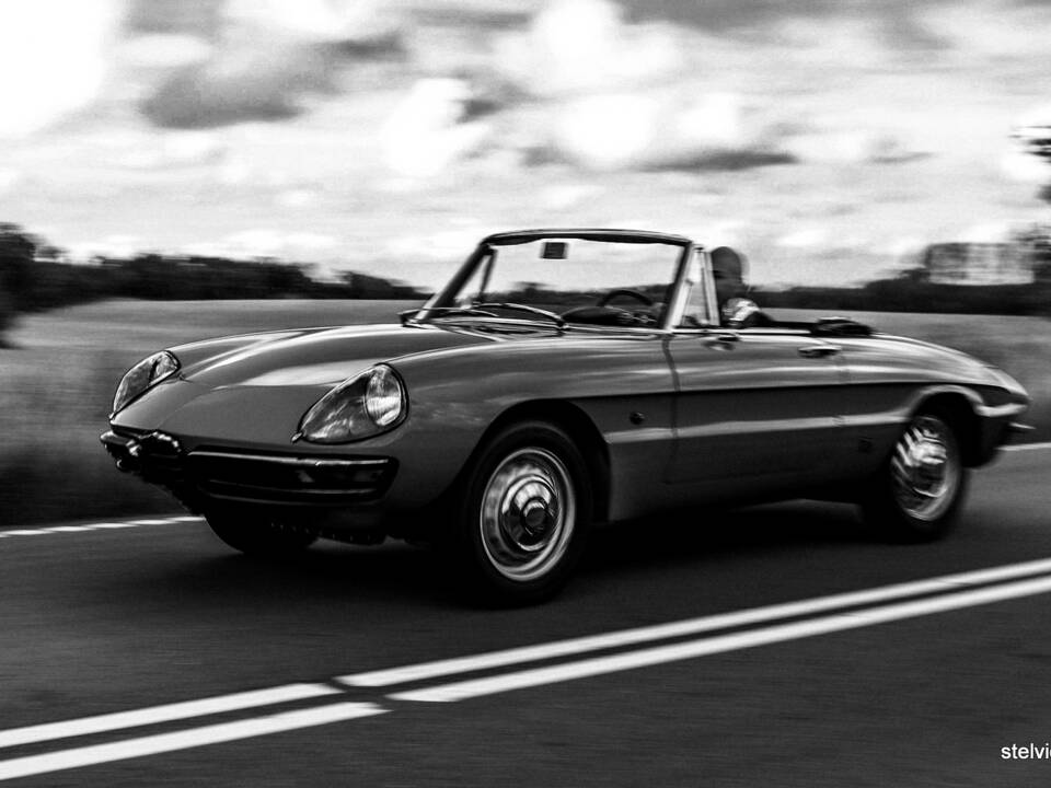 Afbeelding 43/50 van Alfa Romeo 1600 Spider Duetto (1967)