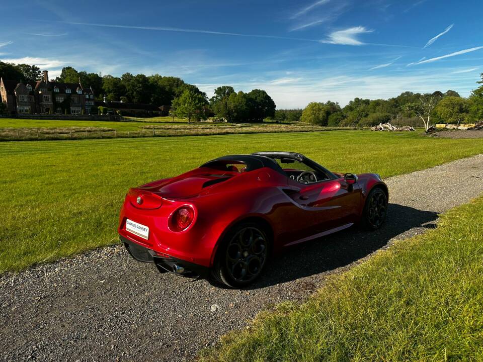 Bild 6/47 von Alfa Romeo 4C Spider (2015)