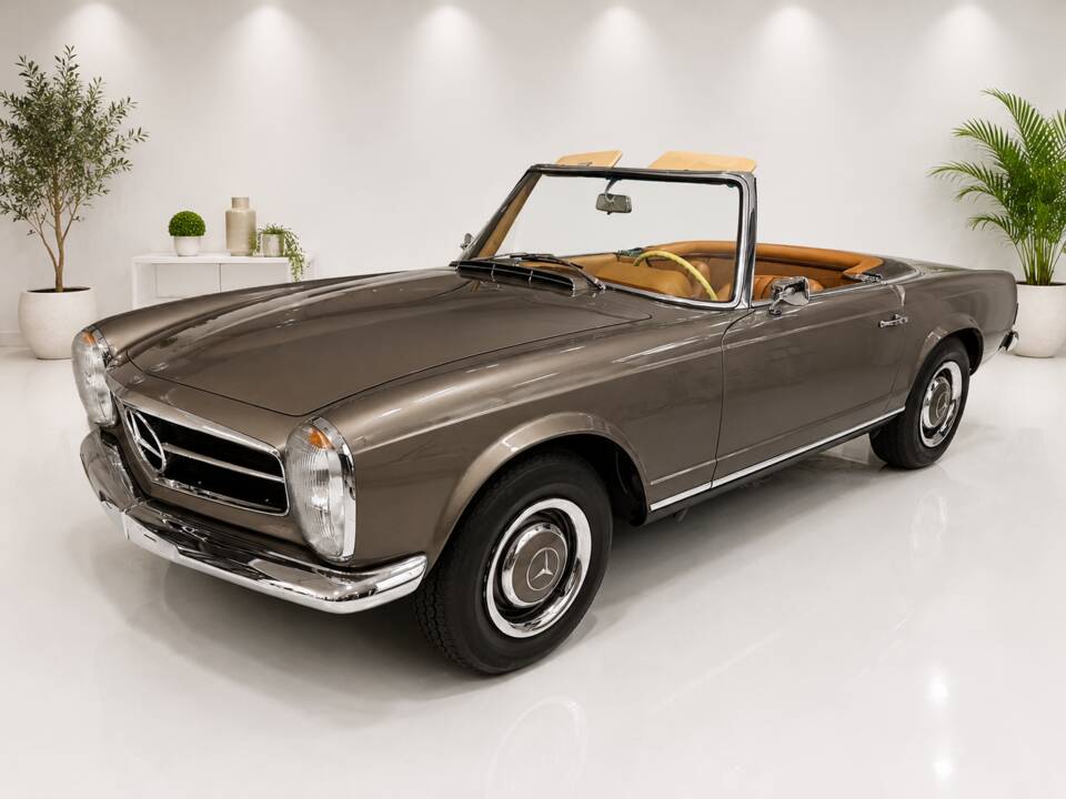 Bild 5/22 von Mercedes-Benz 230 SL (1966)