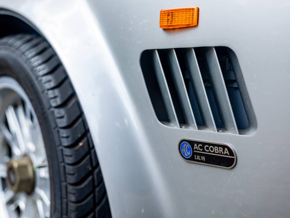 Bild 9/19 von AC Cobra 212 S&#x2F;C (2001)