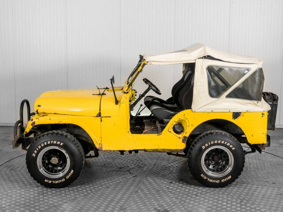 Afbeelding 39/50 van Willys-Viasa CJ-3B (1957)
