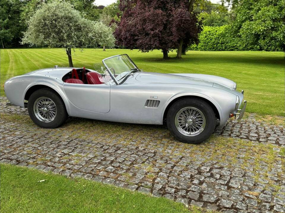 Bild 6/24 von AC Cobra 289 (2001)