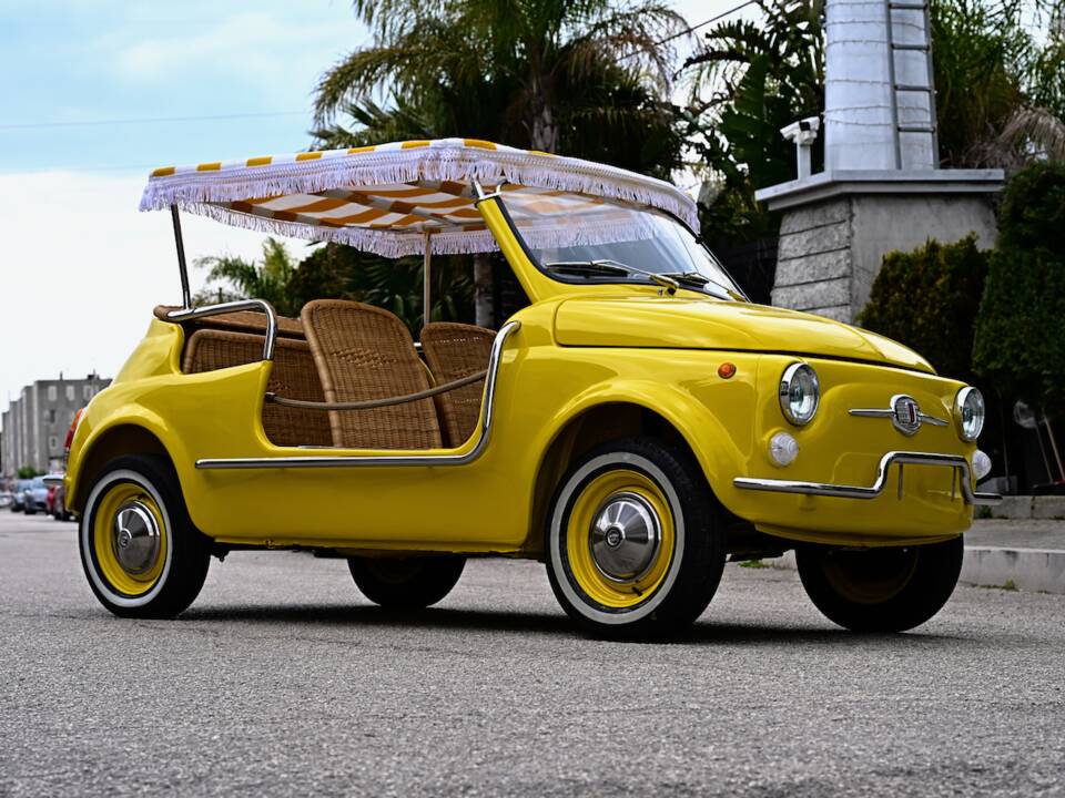 Image 39/45 of FIAT Ghia 500 Jolly (1971)