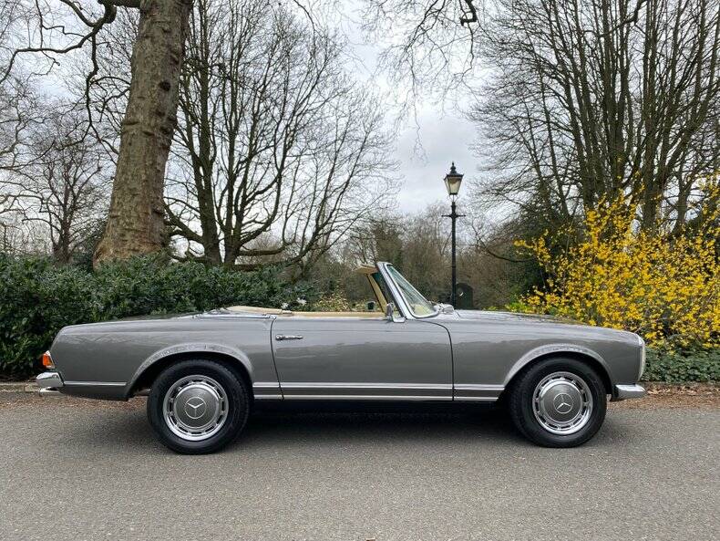 Afbeelding 9/50 van Mercedes-Benz 280 M-SL (1964)
