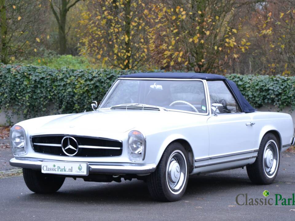 Image 4/50 of Mercedes-Benz 250 SL (1966)