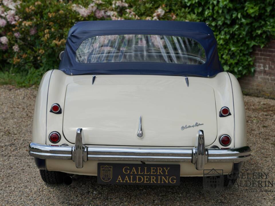Image 10/50 of Austin-Healey 100/4 (BN1) (1954)