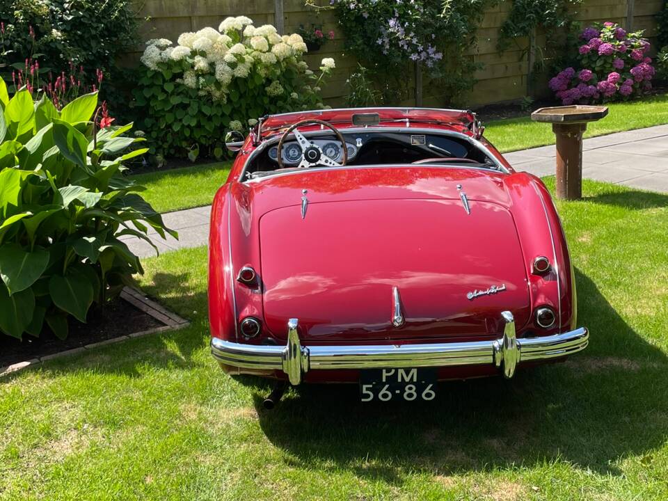 Image 14/56 of Austin-Healey 100&#x2F;4 (BN1) (1955)