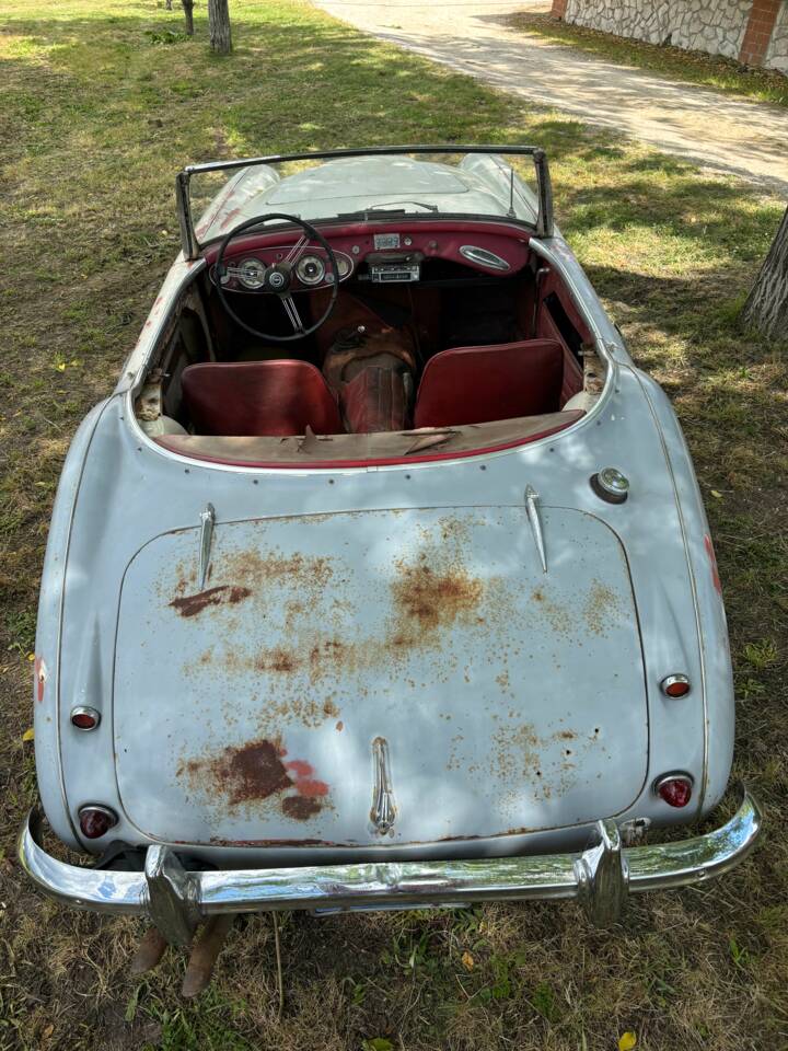Bild 10/19 von Austin-Healey 3000 Mk I (BN7) (1960)