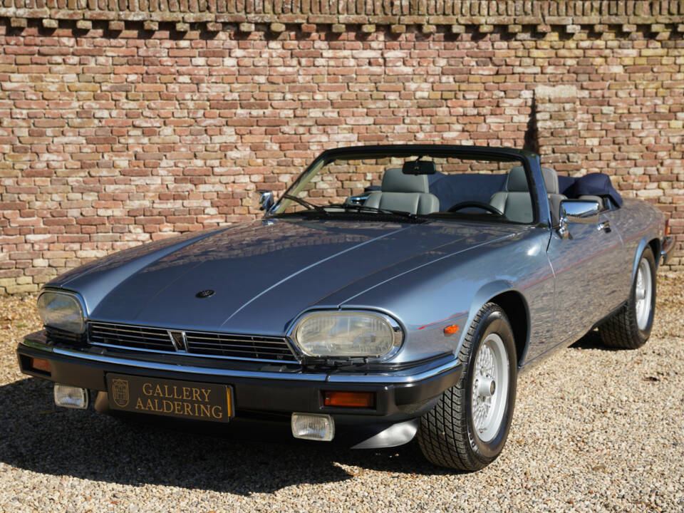 Image 42/50 de Jaguar XJS 5.3 V12 (1989)