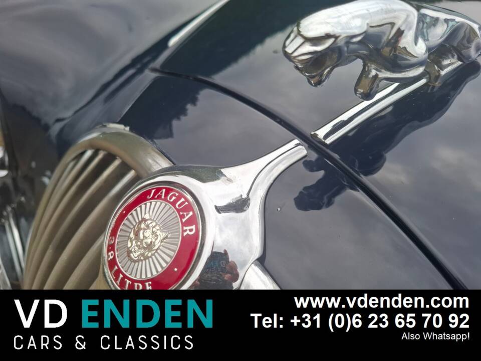 Bild 14/24 von Jaguar Mk II 3.8 (1962)